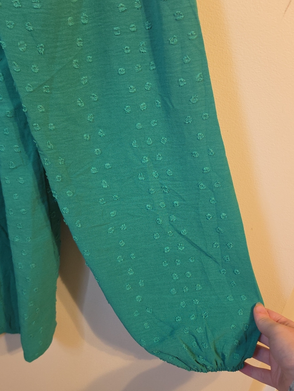 Falechay Green Swiss Dot Balloon Sleeve Tunic Blouse. NWT - Picture 5 of 5
